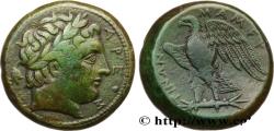 Ancient Coins - SICILY - MESSANA Messine, Sicile c. 264-241 AC. (26,5mm, 15,59g, 6h)