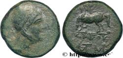 Ancient Coins - PONTUS - AMISOS Amisos, Pont c. 105-90 ou 90-85 AC. (22,5mm, 11,88g, 12h)