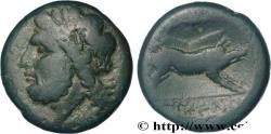 Ancient Coins - APULIA - ARPI Arpi, Apulie   c. 325-275 AC. (21,5mm, 7,58g, 3h)