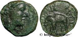 Ancient Coins - SYRIA - SELEUKID KINGDOM - ANTIOCHUS III THE GREAT Atelier incertain, Syrie c. 222-187 AC. (11,5mm, 1,82g, 12h)