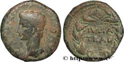 Ancient Coins - AUGUSTUS Julia Traducta, Espagne c. 11-10 AC. (25mm, 12,41g, 7h)