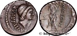 Ancient Coins - CORDIA Rome 46 AC. (15,5mm, 4,13g, 2h)