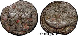 Ancient Coins - NEMAUSUS - NIMES - AUGUSTUS and AGRIPPA Nîmes (30) c. 10-14 AD. (27mm, 13,00g, 7h)