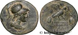 Ancient Coins - PHRYGIA - APAMEIA Apamée, Phrygie c. 88-40 AC. (22,5mm, 5,57g, 12h)