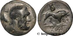 Ancient Coins - KINGDOM OF GALATIA - AMYNTAS Amyntas, Pamphylie c. 31-30 AC (21,5mm, 5,77g, 1h)