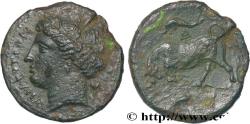 Ancient Coins - SICILY - SYRACUSE Sicile, Syracuse c. 317-295 AC. (21mm, 5,60g, 9h)