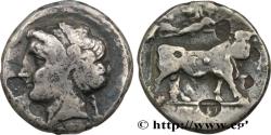 Ancient Coins - CAMPANIA - NEAPOLIS Naples, Campanie c. 340-325 AC. (21mm, 6,28g, 6h)