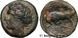 Ancient Coins - SICILY - SYRACUSE Syracuse, Sicile c. 275 - 269/265 AC. (19,5mm, 5,86g, 6h)