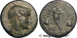 Ancient Coins - PONTUS - AMISOS Amisos, Pont c. 125-100 AC. (18mm, 4,35g, 12h)