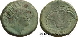 Ancient Coins - CARIA - CARIAN ISLANDS - RHODES Rhodes, Carie c. 88-85 AC. (28mm, 16,24g, 12h)