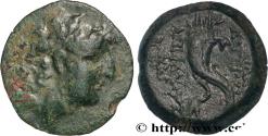 Ancient Coins - SYRIA - SELEUKID KINGDOM - ANTIOCHUS VIII GRYPUS Antioche, Syrie c. 121/120 - 111/110 AC. (21mm, 6,49g, 12h)