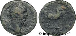 Ancient Coins - SEPTIMIUS SEVERUS Rome 202-210 (23mm, 5,78g, 1h)