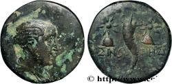 Ancient Coins - PAPHLAGONIA - SINOPE Sinope, Paphlagonie c. 120-100 AC. (18mm, 4,08g, 12h)