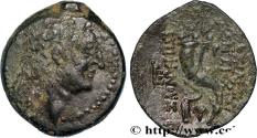 Ancient Coins - SYRIA - SELEUKID KINGDOM - ANTIOCHUS VIII GRYPUS Antioche, Syrie c. 121/120 - 111/110 AC. (23mm, 7,18g, 12h)