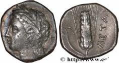 Ancient Coins - LUCANIA - METAPONTUM Métaponte, Lucanie c. 300-280 AC. (21mm, 7,56g, 3h)
