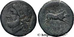Ancient Coins - APULIA - ARPI Arpi, Apulie   c. 325-275 AC. (21,5mm, 7,54g, 3h)