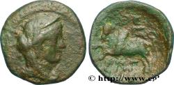 Ancient Coins - PHOENICIA - ARADOS Arados, Phénicie 77-76 AC. (20mm, 5,96g, 12h)