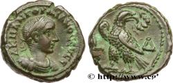 Ancient Coins - GORDIAN III Alexandrie, Égypte 240-241 (22mm, 12,28g, 12h)