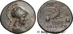 Ancient Coins - PHRYGIA - APAMEIA Apamée, Phrygi c. 88-48 AC. (24mm, 8,69g, 1h)