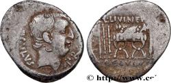 Ancient Coins - LIVINEIA Rome 42 AC. (19mm, 3,75g, 12h)