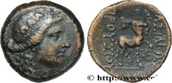 Ancient Coins - BITHYNIA - BITHYNIAN KINGDOM - PRUSIAS II Nicomédie, Bithynie c. 180-150 AC. (19,5mm, 5,43g, 12h)