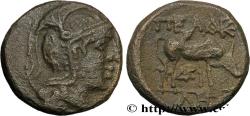 Ancient Coins - MACEDONIA - MACEDONIAN PROVINCE - PELLA Pella, Macédoine c. 168-149 AC. (17mm, 5,45g, 6h)