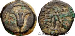Ancient Coins - SYRIA - SELEUKID KINGDOM - ANTIOCHUS VII SIDETES Jérusalem, Judée c. 132-131 AC. (14mm, 2,70g, 6h)