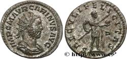 Ancient Coins - CARINUS Lyon 283-284 (22mm, 4,21g, 6h)