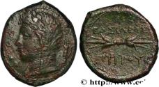 Ancient Coins - SICILY - SYRACUSE Syracuse, Sicile c. 278-276 AC. (26,5mm, 11,08g, 1h)