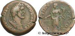 Ancient Coins - ANTONINUS PIUS Alexandrie, Égypte 147-148 (33,5mm, 26,07g, 12h)