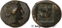 Ancient Coins - CARIA - CARIAN ISLANDS - RHODES Rhodes, Carie c. 205-188 AC. (12,5mm, 2,22g, 12h)