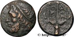 Ancient Coins - SICILY - SYRACUSE Syracuse, Sicile c. 240-216 AC. (18mm, 5,41g, 1h)