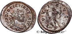 Ancient Coins - DIOCLETIAN Lyon 289-290 (23,00mm, 3,17g, 12h)