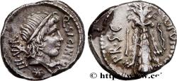 Ancient Coins - SICINIA Grèce 49 AC. (16mm, 3,88g, 7h)