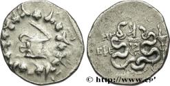 Ancient Coins - IONIA - EPHESUS Éphèse c. 82-81 AC. (26mm, 12,33g, 12h)
