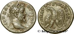 Ancient Coins - SEPTIMIUS SEVERUS Laodicée, Syrie, Séleucie et Piérie 209-211 (25,5mm, 12,47g, 12h)
