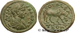 Ancient Coins - SEVERUS ALEXANDER  Alexandrie,Troade 222-235 (23,5mm, 8,38g, 6h)