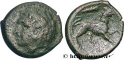 Ancient Coins - SICILY - SYRACUSE Syracuse, Sicile c. 295-289 AC. (20,5mm, 6,73g, 9h)