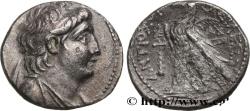 Ancient Coins - SYRIA - SELEUKID KINGDOM - ANTIOCHUS VII SIDETES Tyr, Phénicie 136-135 AC. (26mm, 13,21g, 12h)