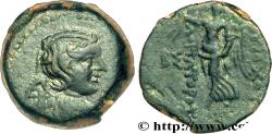 Ancient Coins - SYRIA - SELEUKID KINGDOM - ANTIOCHUS IX CYZICENUS Phénicie c. 111-110 AC. (18,00mm, 6,52g, 12h)