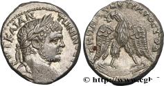 Ancient Coins - CARACALLA Chypre 215-217 (23mm, 14,25g, 1h)