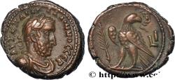 Ancient Coins - GALLIENUS Alexandrie, Égypte 262-263 (22mm, 11,86g, 11h)