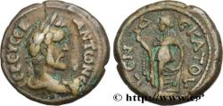 Ancient Coins - ANTONINUS PIUS Alexandrie, Égypte 147-148 (24mm, 12,61g, 12h)