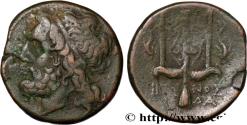 Ancient Coins - SICILY - SYRACUSE Syracuse, Sicile c. 240-216 AC. (19,5mm, 6,49g, 12h)