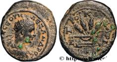 Ancient Coins - SEVERUS ALEXANDER  Césarée, Cappadoce 223-224 (25mm, 8,88g, 12h)