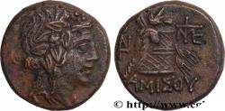 Ancient Coins - PONTUS - AMISOS Amisos, Pont c. 85-65 AC. (20mm, 7,77g, 12h)