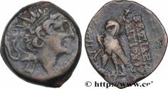 Ancient Coins - SYRIA - SELEUKID KINGDOM - ANTIOCHUS VIII GRYPUS Antioche, Syrie c. 121/120 - 111/110 AC. (19mm, 6,62g, 12h)