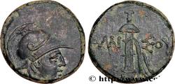 Ancient Coins - PONTUS - AMISOS Amisos, Pont c. 105-90 ou 90-85 AC. (20mm, 7,54g, 11h)