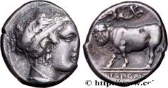 Ancient Coins - CAMPANIA - NEAPOLIS Naples, Campanie c. 300-275 AC. (19mm, 7,45g, 11h)
