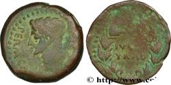 Ancient Coins - AUGUSTUS Julia Traducta, Espagne c. 11-10 AC. (25mm, 9,39g, 8h)